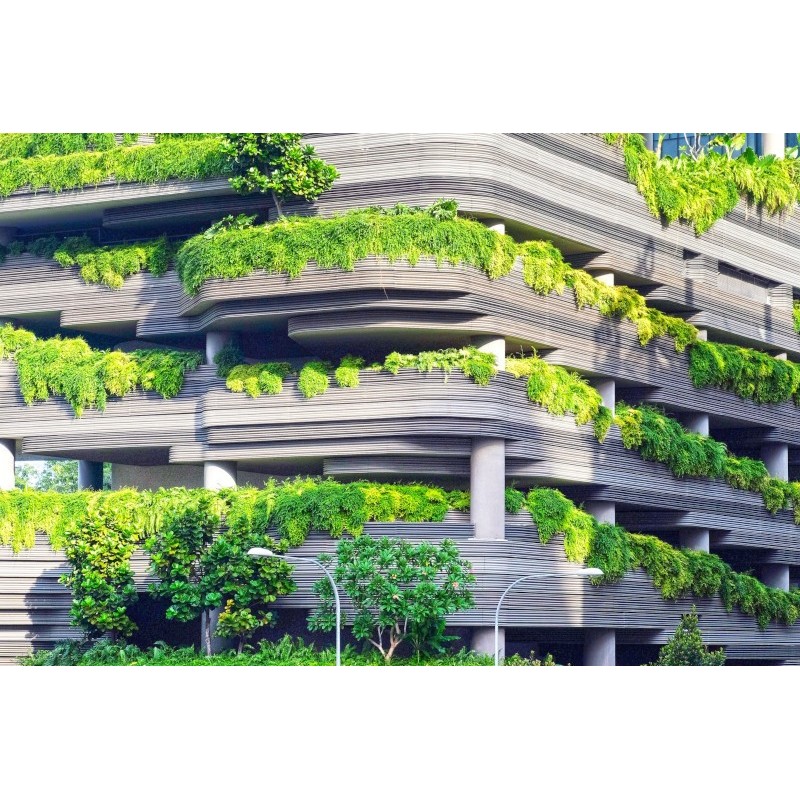 Consultanță în Implementarea Practicilor de Construcții Durabile